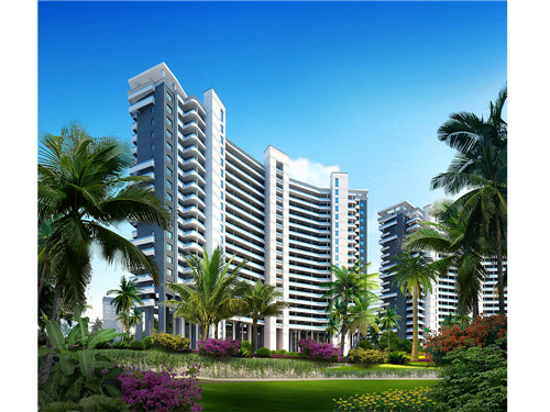 阿弟热蛋糕烘焙