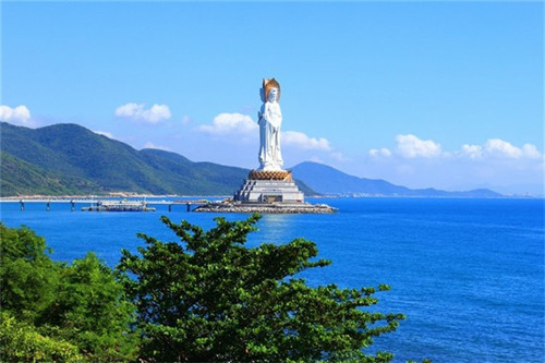茶和面团