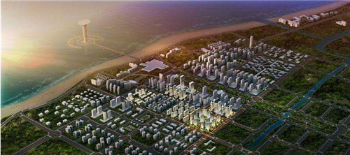 宠物店创业特色及亮点怎么写，宠物店创新创业是什么类型