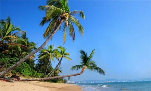 郯城县加盟巧巧大刀凉皮如何选址