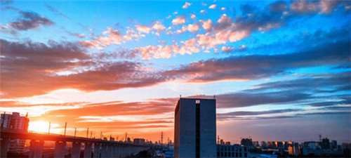 锦味坊无骨烤鱼在肥乡县市场还有前景吗