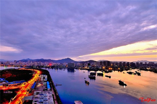 宠物店创业好不好做呢