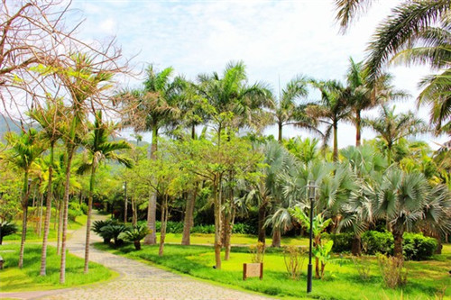 抖音买货怎么看（抖音买货怎么看取件码）