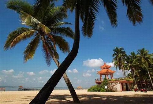 福鼎市投资新奇独特行业有前途吗，潮巴爷零食铺子2026可不可以在福鼎市加盟