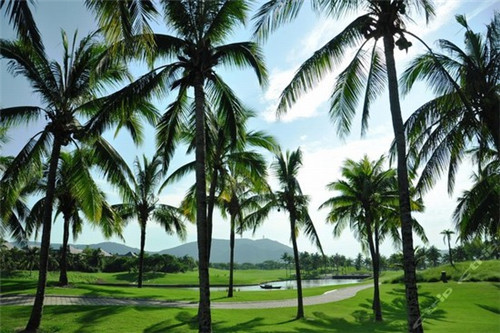 唇茶哩全国有几家店铺