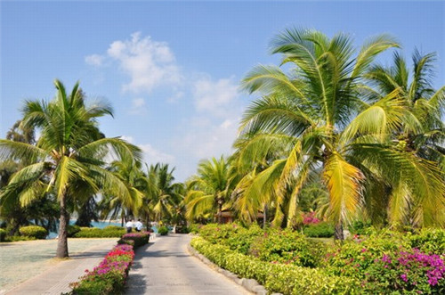 炅爸爸小海鲜加盟优势是什么